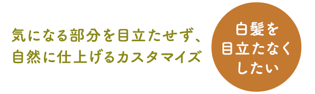 白髪の気になる部分を目立たせず、自然に仕上げるカスタマイズ