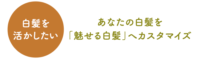 あなたの白髪を「魅せる白髪」へカスタマイズ