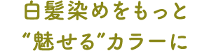 白髪染めをもっと「魅せる」カラーに