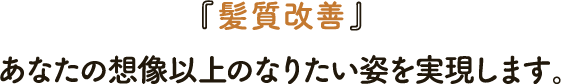 『髪質改善』あなたの想像以上のなりたい姿を実現します。