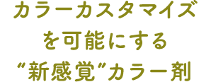 カラーカスタマイズを可能にする